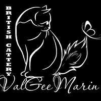 Логотип питомника кошек
